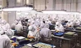 湖南工厂爆料案件最新情况,真相逐步浮出水面